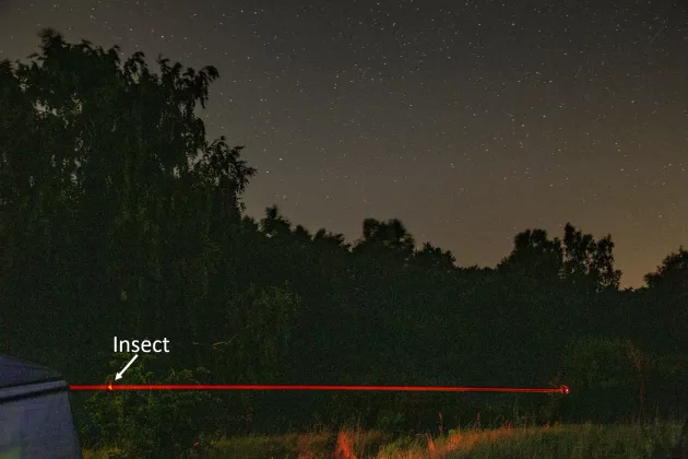 Stars and trees in the background and a red line in the foreground. Picture.